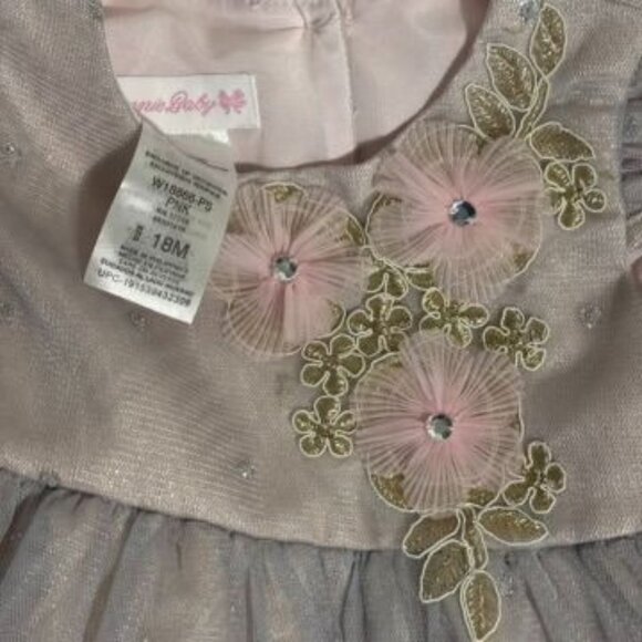 Bonnie Baby Pink & Silver Floral Embroidered Tulle Dress With Bloomers Size 18M - Picture 3 of 6